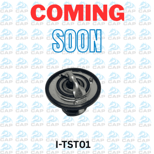 THERMOSTAT FOR ETIOS 2NR
