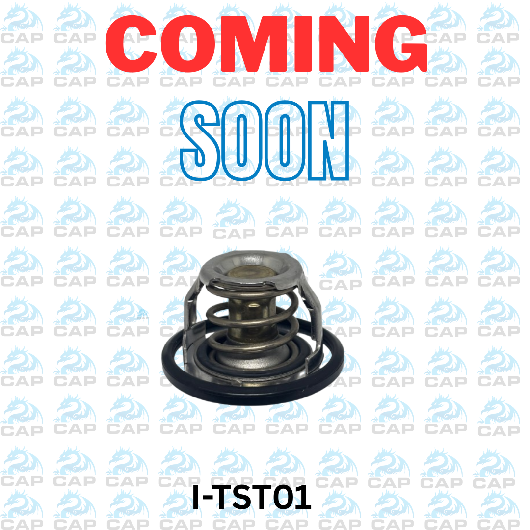 CAP Watermark Template (42)